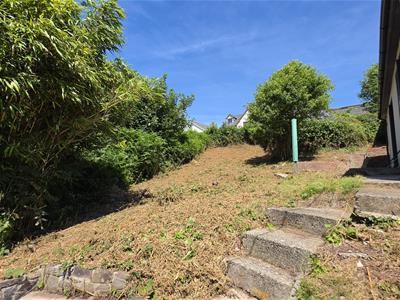 Picture 19
